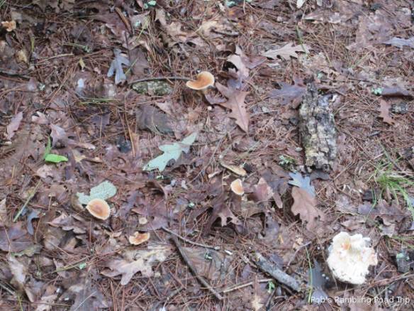 r3t2018-09-28_23-531