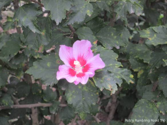 r3t2018-10-01_19-353