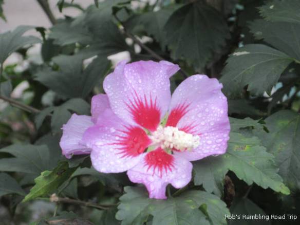 r3t2018-10-03_22-363