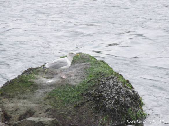 r3t2018-10-04_21-543