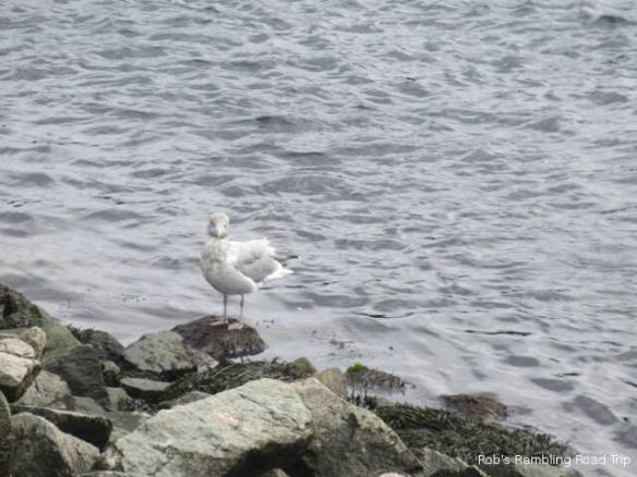 r3t2018-10-04_21-544