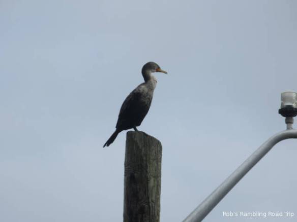 r3t2018-10-04_21-545