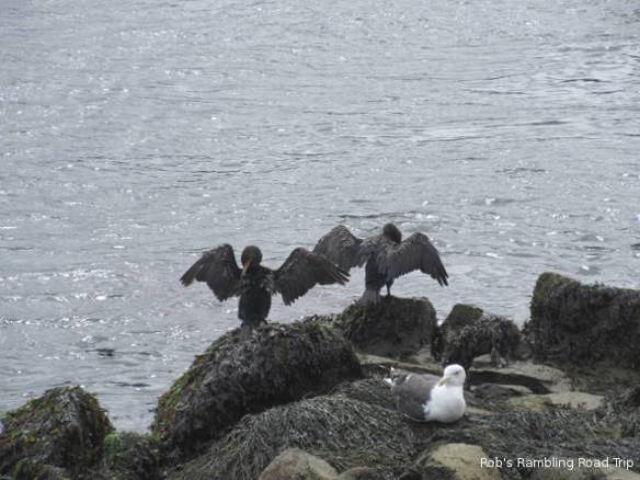 r3t2018-10-04_21-546