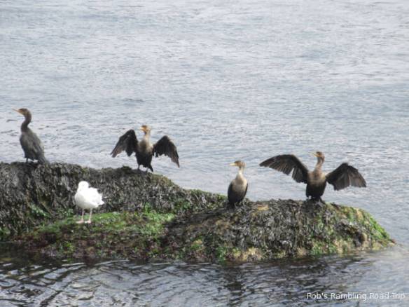 r3t2018-10-04_21-548