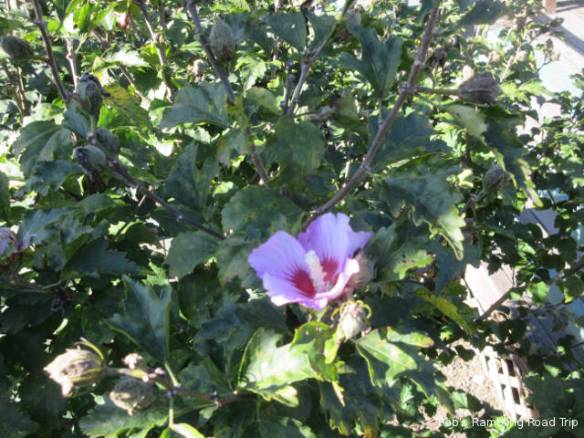 r3t2018-10-05_21-501