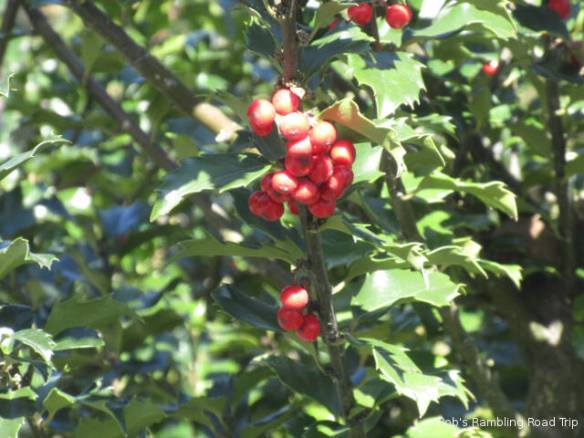 r3t2018-10-06_23-201