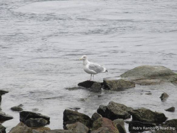 r3t2018-10-08_21-151