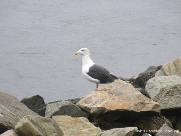 r3t2018-10-08_21-1510