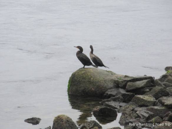 r3t2018-10-08_21-1511