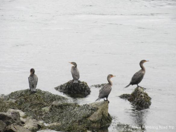 r3t2018-10-08_21-154