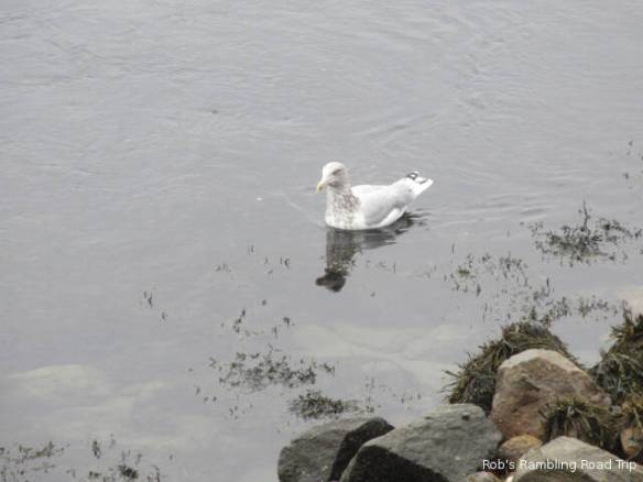 r3t2018-10-08_21-155