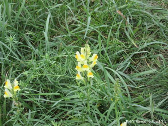 r3t2018-10-08_21-156