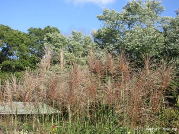 r3t2018-10-10_21-591