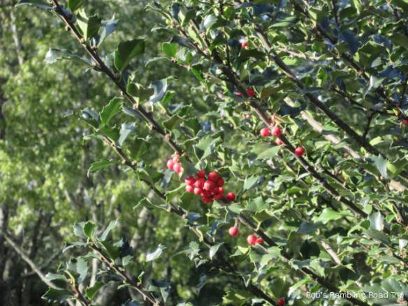 r3t2018-10-10_21-592