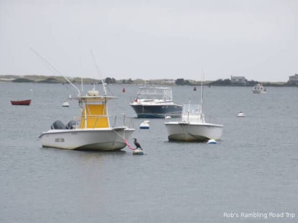 r3t2018-10-11_21-414