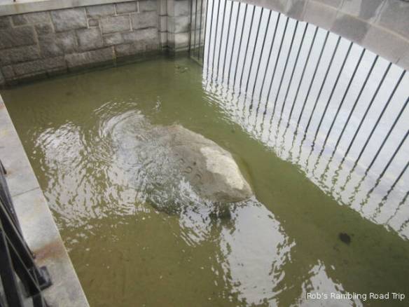 r3t2018-10-11_21-415