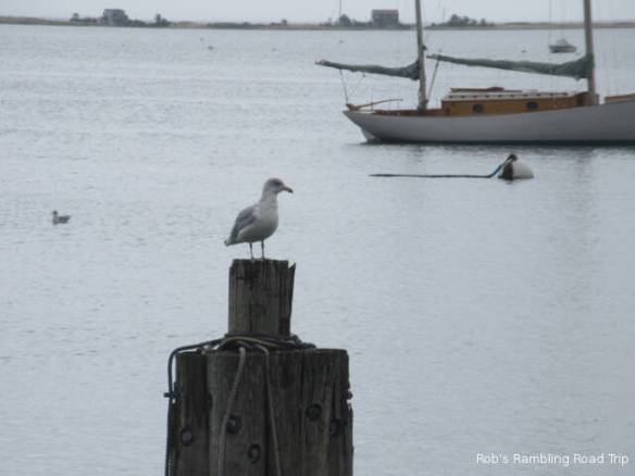 r3t2018-10-11_21-418