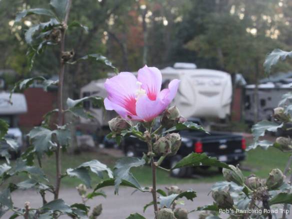 r3t2018-10-12_19-562