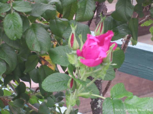 r3t2018-10-15_22-071