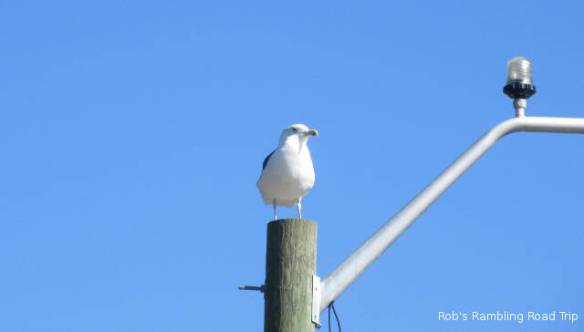 r3t2018-10-19_21-481