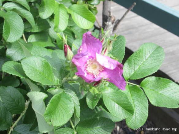 r3t2018-10-20_19-322