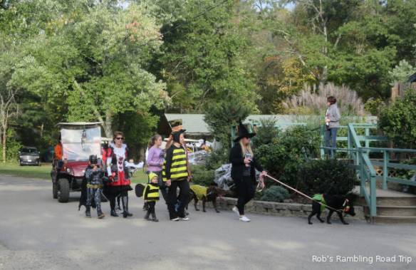 r3t2018-10-20_19-325