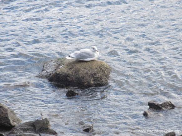 r3t2018-10-22_21-231