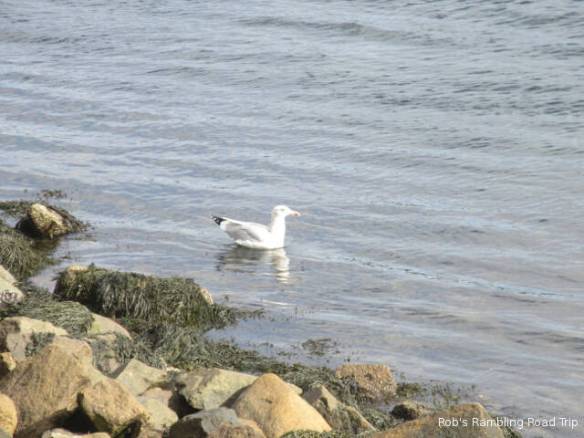 r3t2018-10-22_21-235