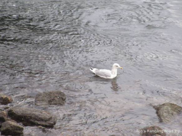 r3t2018-10-22_21-237