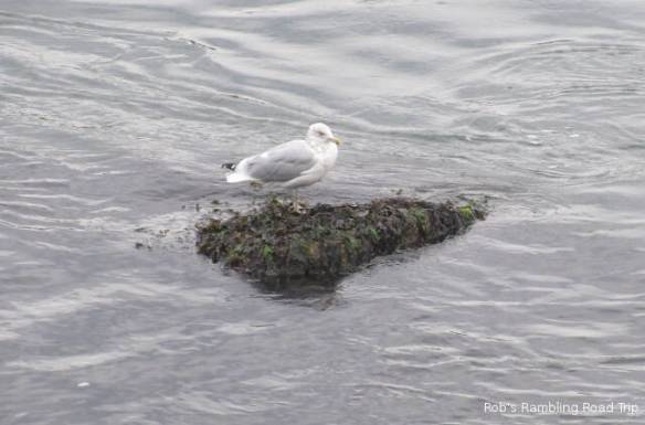 r3t2018-10-22_21-238