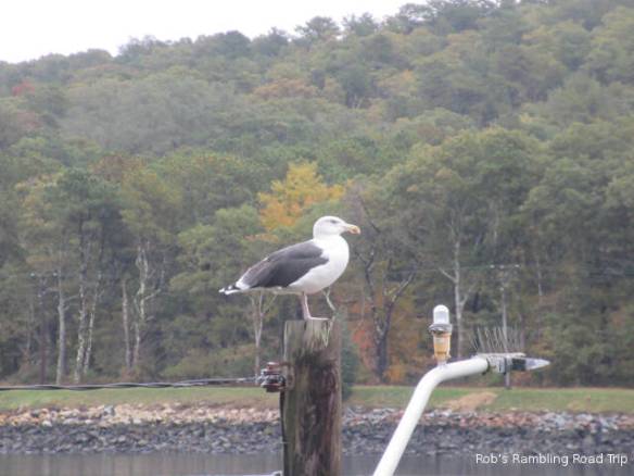 r3t2018-10-23_23-221