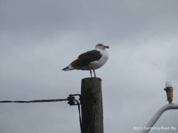 r3t2018-10-24_19-522