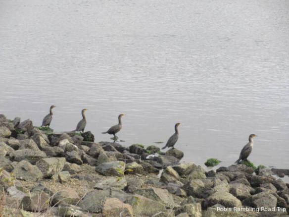 r3t2018-10-24_19-525