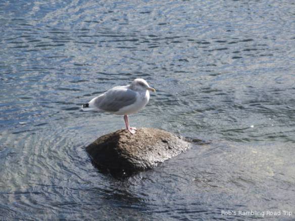 r3t2018-10-25_20-161