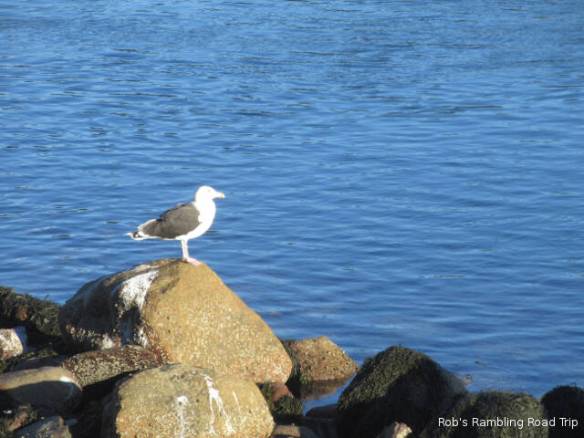 r3t2018-10-25_20-164