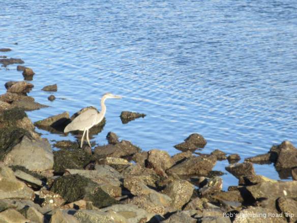 r3t2018-10-25_20-165