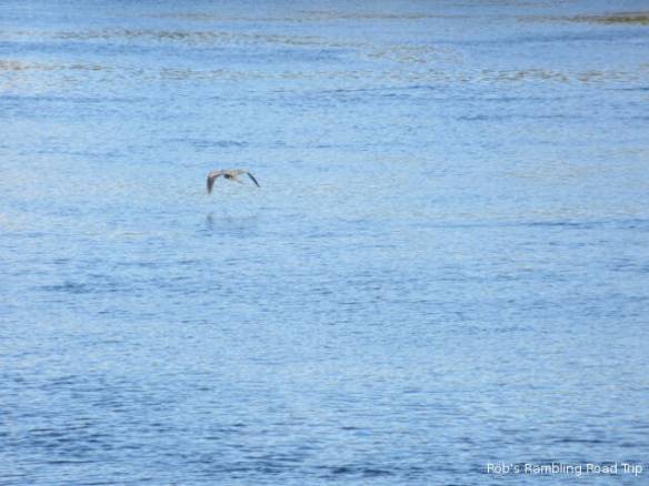 r3t2018-10-25_20-166