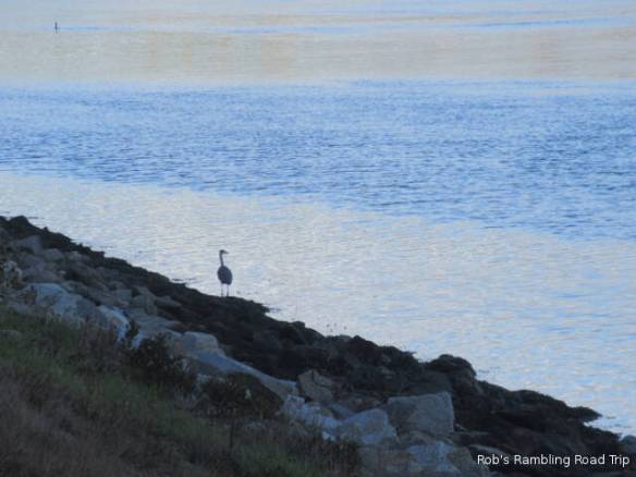 r3t2018-10-25_20-167