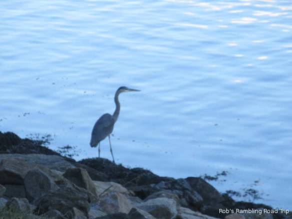 r3t2018-10-25_20-169