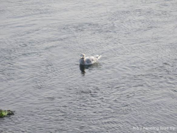 r3t2018-10-26_20-012