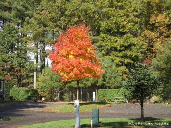 r3t2018-10-29_19-522