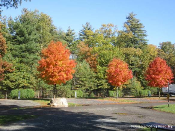 r3t2018-10-29_19-523