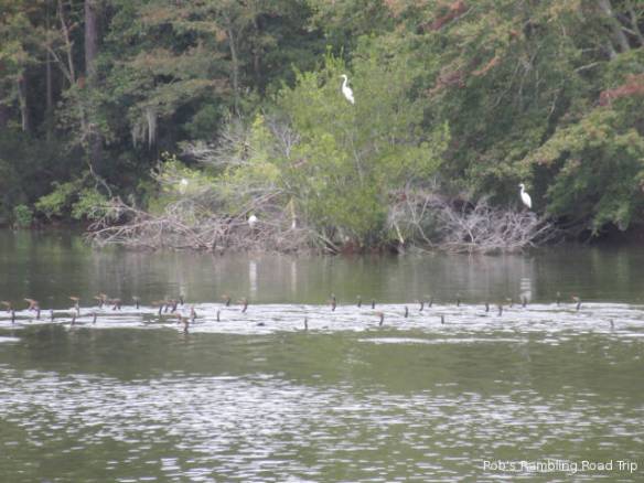 r3t2018-11-08_19-402