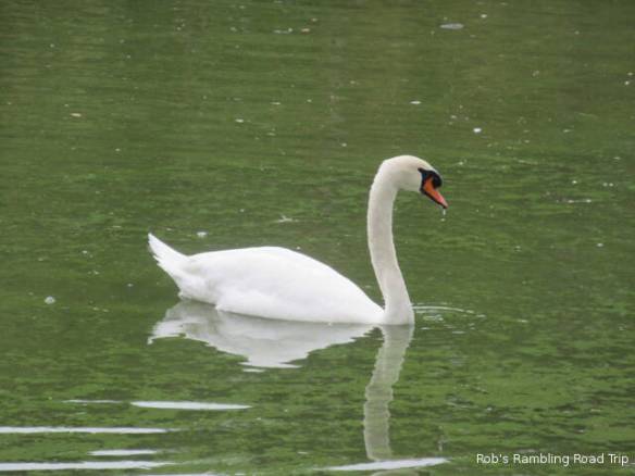 r3t2018-11-08_19-404