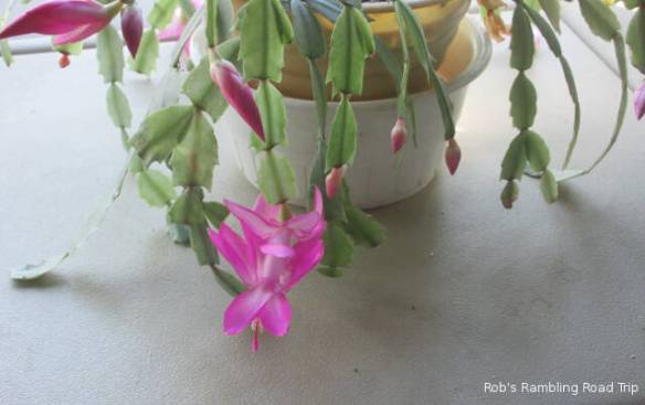 r3t2018-11-10_19-511