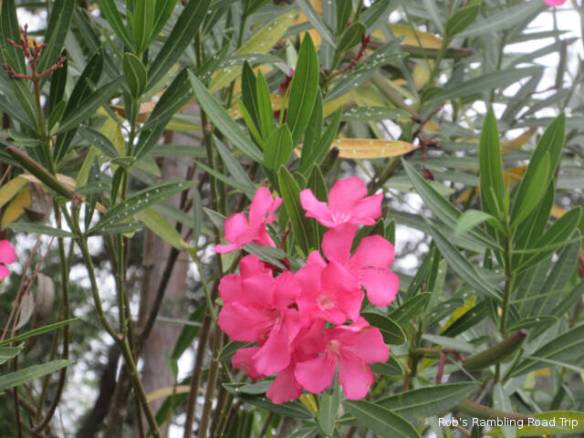 r3t2018-11-11_20-351