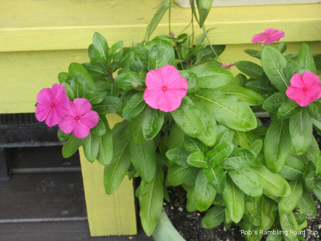 r3t2018-11-12_22-121