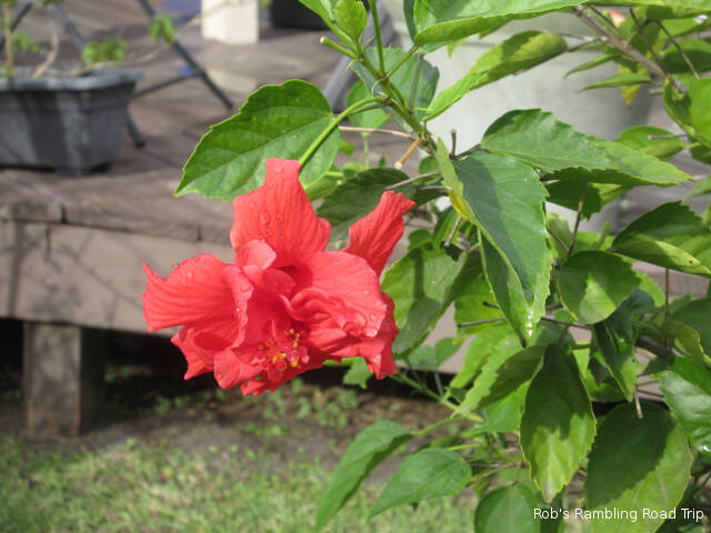 r3t2018-11-12_22-122