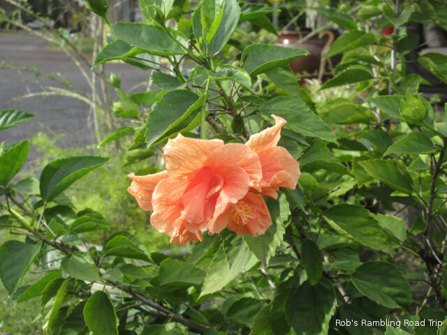 r3t2018-11-12_22-123