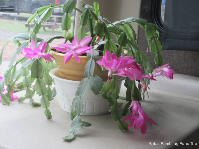 r3t2018-11-14_18-391